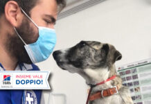 Amici a quattro zampe e Covid-19: grazie a ENPA e Hill’s Pet Nutrition si può “Adottare in sicurezza”