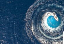 Oceanthon: il primo hackathon italiano dedicato alla salvaguardia dell’oceano