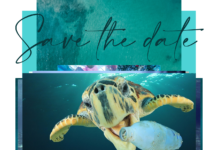 Al via il Progetto Spiagge “Plastic Free”
