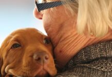 Gli amici a quattro zampe festeggiano i nonni