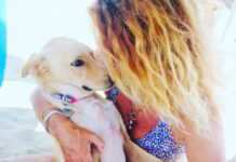 BAUCOACH: il nuovo corso di formazione professionale del BAUBEACH