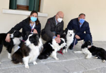 Pet therapy a domicilio per i pazienti dell’onco-ematologia pediatrica del Ca’ Foncello di Treviso