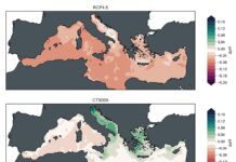 Ridurre l’acidificazione degli oceani rimuovendo la CO2 dall’atmosfera