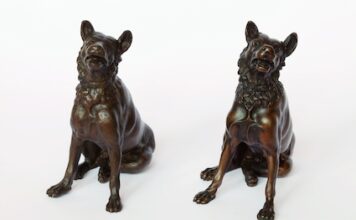 I musei civici di Bologna diventano pet-friendly