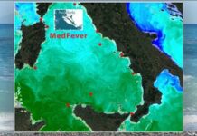 Una rete di termometri per misurare la ‘febbre’ del mare