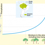 Amazzonia: la deforestazione riduce le piogge