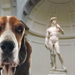 Partono i primi servizi di dog sitter per i musei più importanti