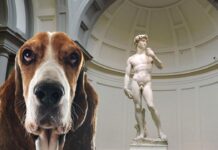 Partono i primi servizi di dog sitter per i musei più importanti