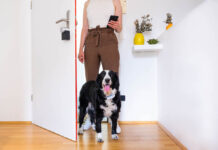 Nuki Smart Lock 2.0: la serratura perfetta per i pet lover
