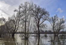 Alluvioni: in Italia il 5,4% del territorio ad elevata pericolosità