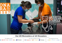 “La visita veterinaria sospesa”: al via il progetto LAV di raccolta fondi