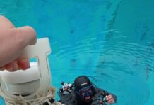 A Oltremare il team di Life Delfi alla ricerca dell’algoritmo che può salvare i delfini