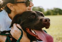 Al via la prima edizione di “Day Bau Day”