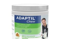 Adaptil Chew: il nuovo snack per un rapido sollievo al cane in stato di stress