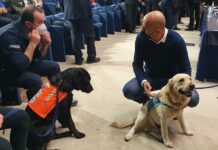 Presentati i risultati del primo studio scientifico multicentrico italiano “C19-screendog”