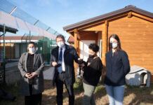 Gattile Intercomunale di Modena: operativa la nuova gestione