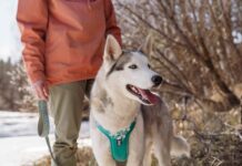 Hurtta amplia la linea delle pettorine Weekend Warrior