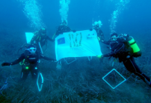 Presentati i risultati del progetto LIFE SEPOSSO