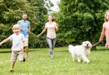 “Day Bau Day”: a Padova attese 20mila persone per il festival dei cani