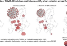 L’effetto del lockdown sulle emissioni di anidride carbonica in città