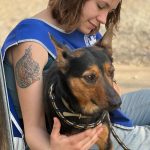 Ucraina: Ceva e Enpa insieme per i pet
