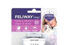 Vivere felici con il proprio gatto: arriva Feliway Help!