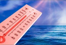 Mediterraneo bollente: +4° sopra le medie stagionali