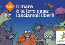 Al via “Il mare è la loro casa”: in spiaggia per il rispetto di tutti gli animali