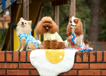 Croci svela la nuova Summer Collection 2022