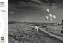 Baubeach: le novità in spiaggia, tra arte, formazione ed eco-sostenibilità