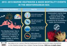 Mortalità da ondate di calore nel Mediterraneo