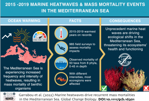 Mortalità da ondate di calore nel Mediterraneo