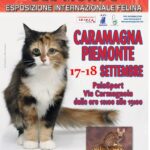 I gatti più belli del mondo arrivano a Caramagna Piemonte