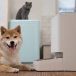 Xiaomi presenta due nuovi prodotti per gli animali domestici