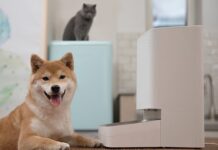 Xiaomi presenta due nuovi prodotti per gli animali domestici