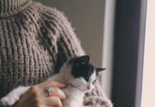 Pet economy: dall’aumento degli animali domestici ad un giro d’affari di 3,5 miliardi