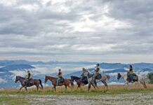 Il suono degli zoccoli di un cavallo in movimento è tutta una questione di ritmo