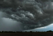 AIRIS: la piattaforma europea di Eoliann per l’analisi del rischio climatico