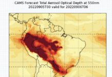 Incendi estremi in Europa e in America meridionale e settentrionale nel 2022