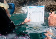 Mediterraneo: nasce il primo database di pesci ‘sentinella’ del cambiamento climatico