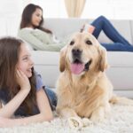 Adolescenza nel cane: tutto quello che serve sapere
