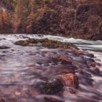 I fiumi “respirano”: ecosistemi fluviali cruciali nel ciclo del carbonio