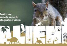 Alla Rocca di Lonato del Garda la mostra “Alieni. La conquista dell’Italia da parte di piante e animali introdotti dall’uomo”