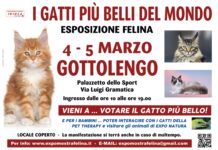 I GATTI PIU’ BELLI DEL MONDO arrivano a Gottolengo