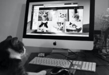 Il canale digitale sempre più utilizzato per gli acquisti per i propri animali domestici