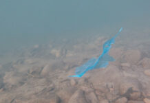 Svelati i meccanismi che imprigionano le microplastiche nei sedimenti dei fiumi