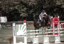 Al via l’edizione 2023 di “Cavalli in Villa”