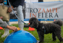 A Napoli arriva Quattrozampeinfiera