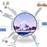 Plastisfera: microecosistemi artificiali nelle acque dolci degli habitat ghiacciati
