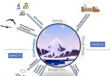 Plastisfera: microecosistemi artificiali nelle acque dolci degli habitat ghiacciati